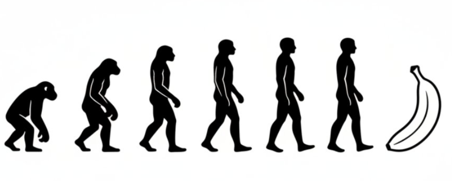 Minimalist Evolution Chart: Ape to Human to Banana