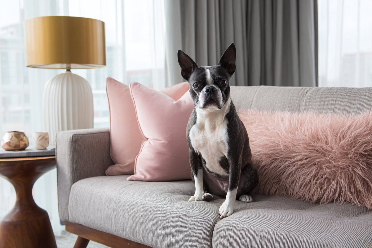 Mid-Century Lounge Vignette - 2