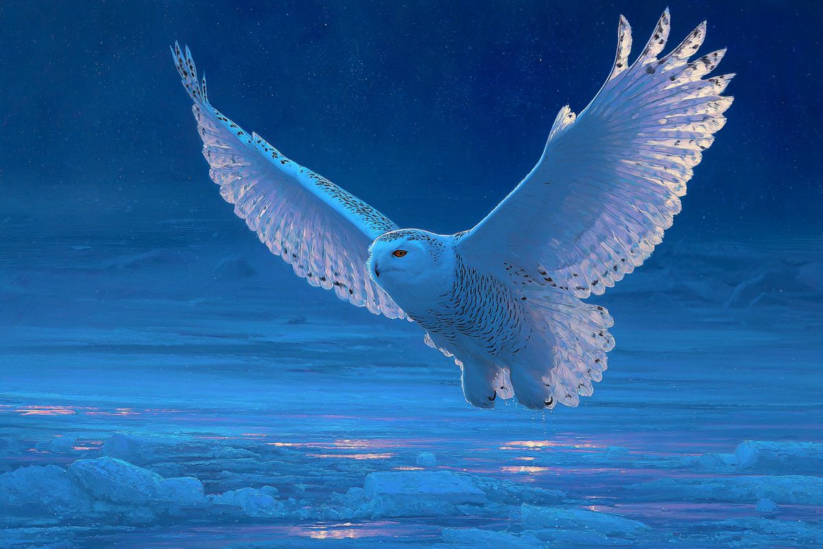 Luminescent Arctic Wilderness - 1