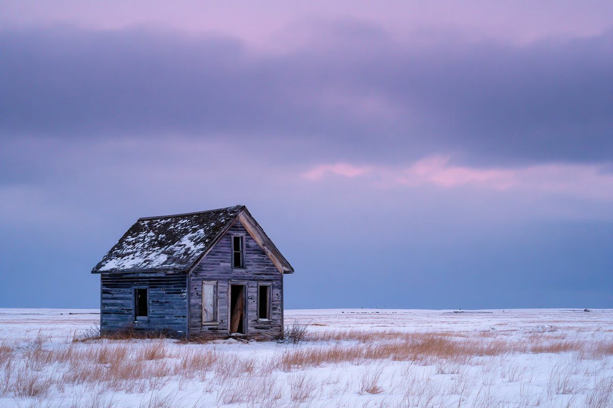 Frozen Tundra Majesty - 3